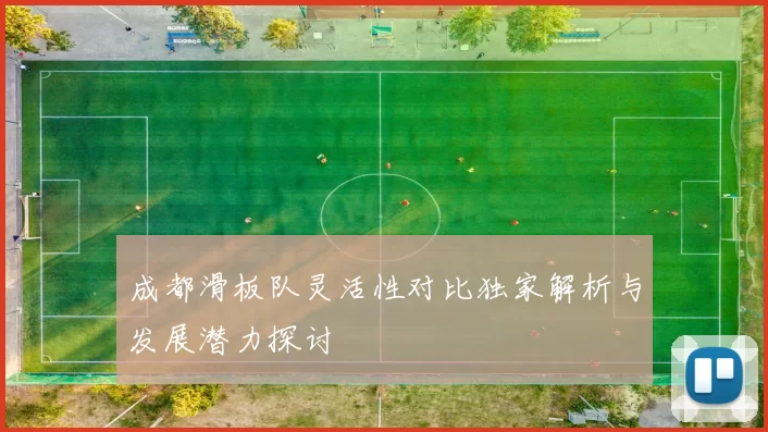 成都滑板队灵活性对比独家解析与发展潜力探讨