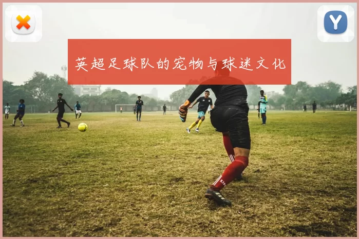 英超足球队的宠物与球迷文化