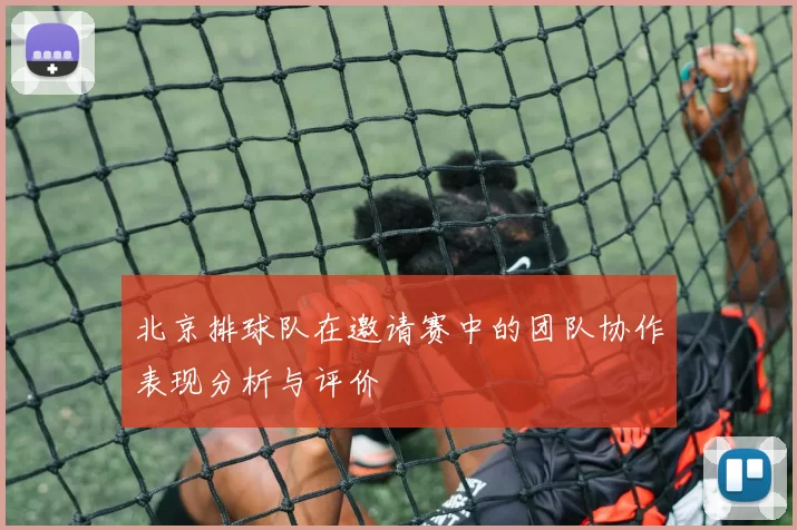 北京排球队在邀请赛中的团队协作表现分析与评价