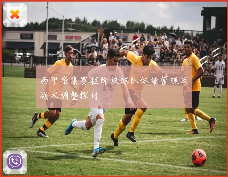 西甲密集赛程阶段球队体能管理及战术调整探讨