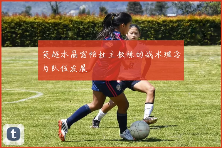 英超水晶宫帕杜主教练的战术理念与队伍发展