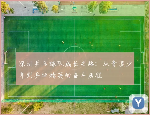 深圳乒乓球队成长之路：从青涩少年到乒坛精英的奋斗历程