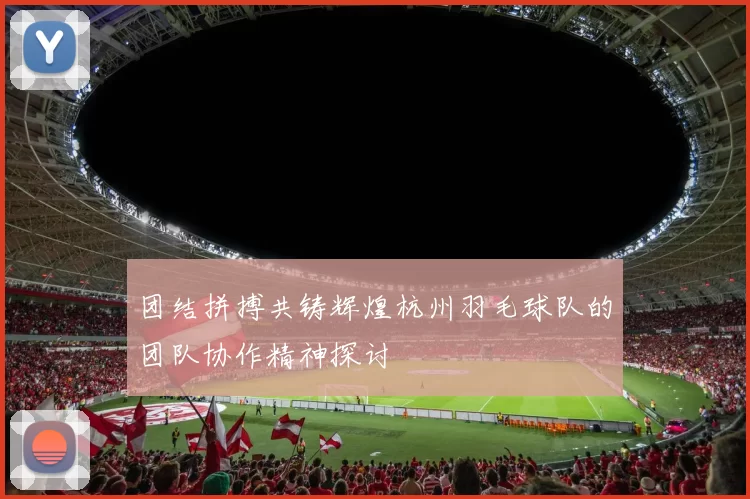 团结拼搏共铸辉煌杭州羽毛球队的团队协作精神探讨
