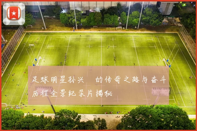 足球明星孙兴慜的传奇之路与奋斗历程全景纪录片揭秘